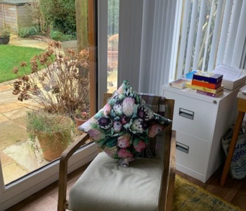 The inside of a therapy room, with a comfortable chair, a filing cabinet, blinds and a view of a garden from the window.